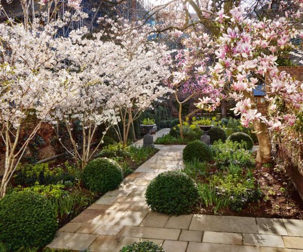 Blossom Harmony: Artful Garden Arrangements