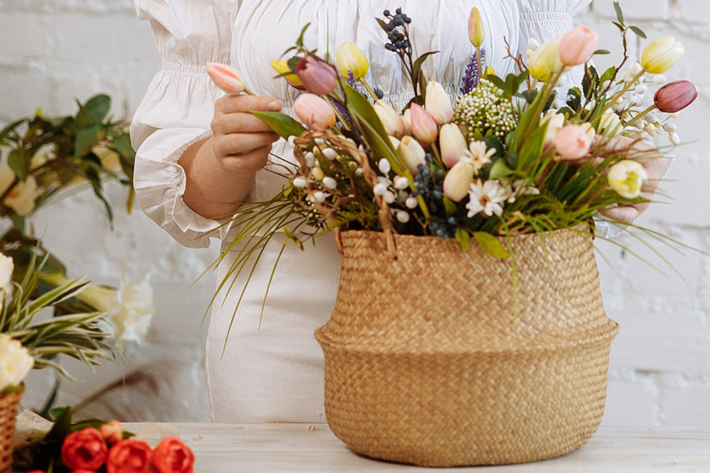 Blossom Beauties: Exploring the World of Flowers