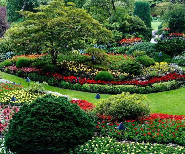Seasonal Flourish: Creating Stunning Garden Arrangements
