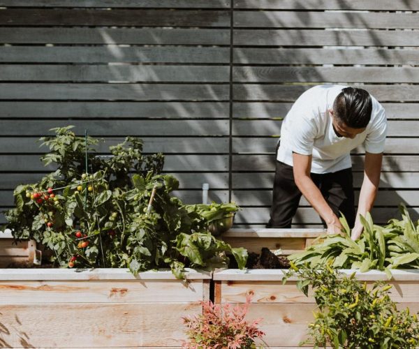 Green Thumb Secrets: Expert Planting Tips for a Flourishing Garden